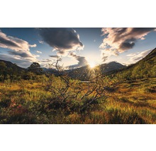 Landschaft mit Bergen, Wiese und Sonnenaufgang