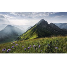 Landschaft mit Bergwiese und Berggipfeln