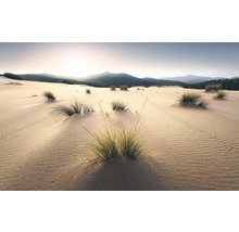 Sanddünen mit Bewuchs vor Hügelkette