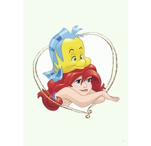 Poster Ariel & Fabius 50x70 cm