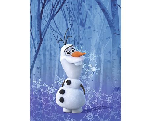 Poster Frozen Olaf Crystal 30x40 cm