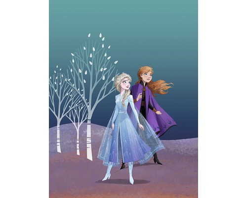 Poster Frozen Sisters 30x40 cm