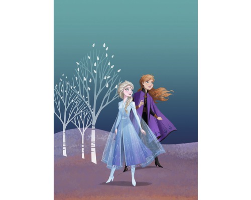 Poster Frozen Sisters 50x70 cm