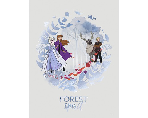 Poster Frozen Spirit 30x40 cm