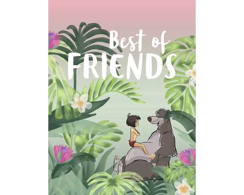 Poster Jungle Book Best of Friends 30x40 cm