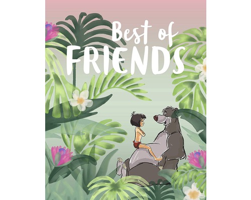 Poster Jungle Book Best of Friends 40x50 cm