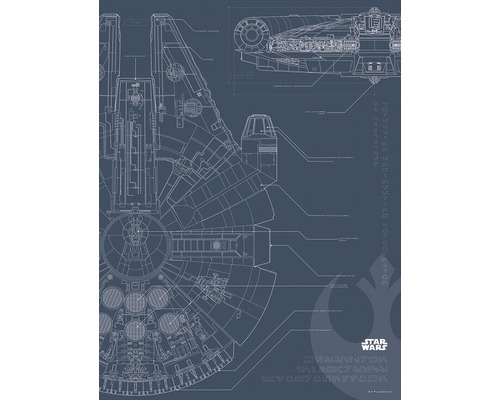 Poster SW Blueprint Falcon 30x40 cm