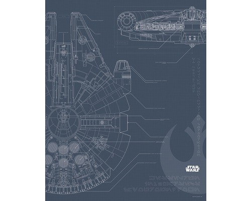 Poster SW Blueprint Falcon 40x50 cm