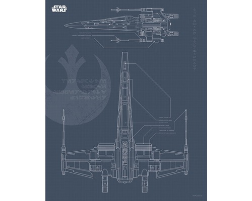 Poster SW Blueprint X-Wing 40x50 cm