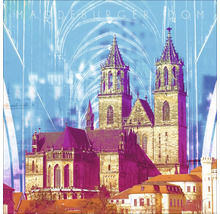 Glasbild Magdeburg VII 20x20 cm-thumb-0