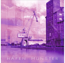 Hafen Münster Ansicht mit Kran und Gebäude