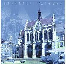 Erfurter Rathaus Fassade und Umgebung