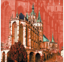 Erfurter Dom Fassade mit Türmen