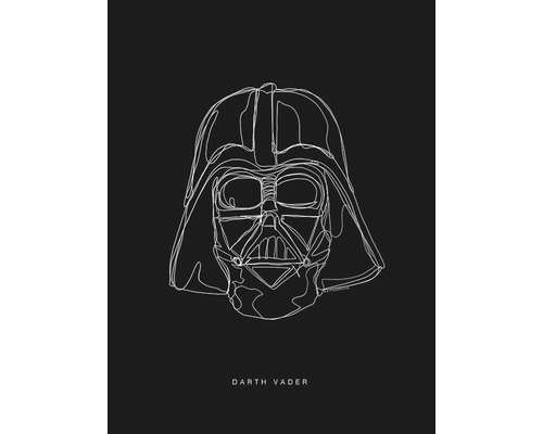 Poster SW Lines Dark Side Vader 30x40 cm