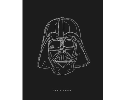 Poster SW Lines Dark Side Vader 40x50 cm