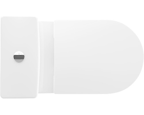 Toilettenspülkasten mit Betätigungsplatte von oben