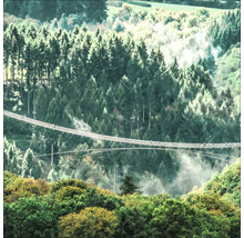 Hängeseilbrücke in waldreicher Umgebung
