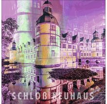 Schloss Neuhaus Abbildung