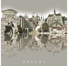 Erfurt Stadtansicht mit architektonischen Wahrzeichen und Monumenten