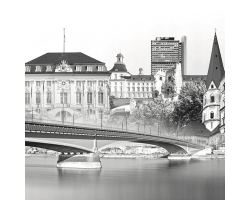 Schwarz-weiß-Foto von Gebäuden und Brücke