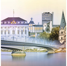 Ansicht der Stadt mit Brücke, Gebäuden und Fluss