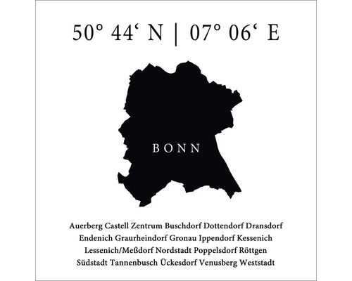 Glasbild Bonn VIII 20x20 cm