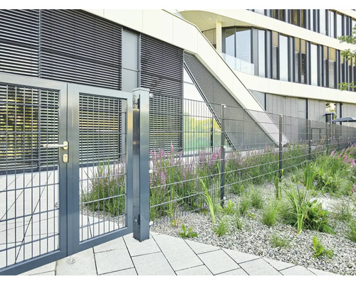 Metallzaun mit Gartentür vor einem Gebäude