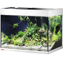 Eingerichtetes Aquarium mit Pflanzen, Wurzeln und Steinen