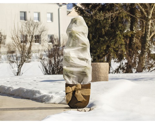 Eingepflanzte Pflanze mit Winterschutz im Garten.