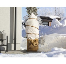 Eingepflanzter Baum mit Winterschutzhaube im Garten im Schnee.