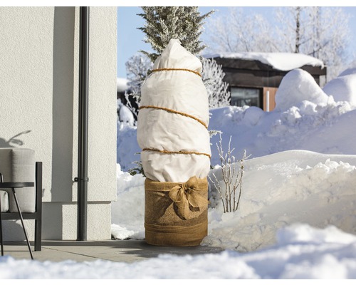Eingepflanzter Baum mit Winterschutzhaube im Garten im Schnee.