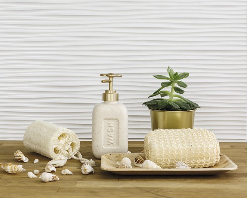 Badezimmer Stillleben mit Seifenspender, Luffaschwamm, Pflanze und Muscheln