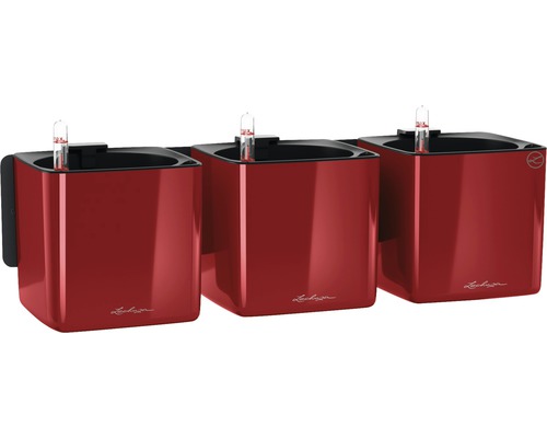 Blumentopf Lechuza Cube Glossy Green Wall H 14 cm Kunststoff rot inkl. Halterung, Wasserstandsanzeiger, Erdbewässerungsystem und Pflanzeinsatz Drei rote Lechuza Cube Glossi Pflanzgefäße mit Bewässerungssystem