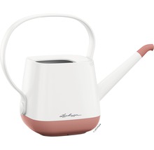 Gießkanne aus Kunststoff mit Griff