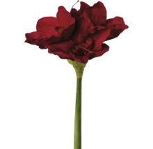 Künstliche Amaryllisblüte mit Stiel