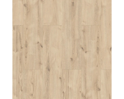 Laminatboden Classen 8.0 Eiche beige