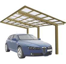 Carport mit einem Auto darunter