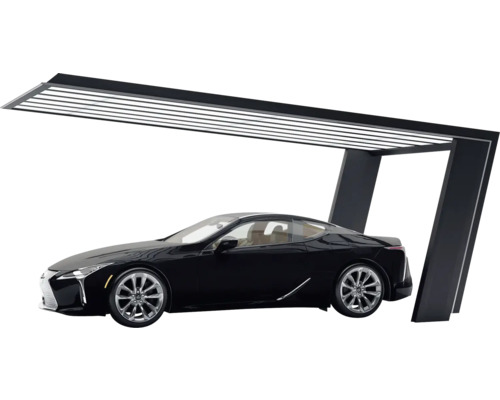 Einzelcarport Ximax My-Port 7 Typ 60 Aluminium eloxiert 319x511,9 cm schwarz/silber Einzelcarport Ximax My-Port 7 Typ 60 Aluminium eloxiert 319x511,9 cm schwarz/silber