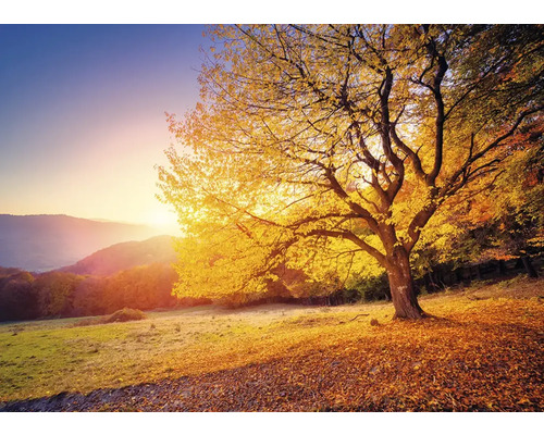 Herbstlandschaft mit Baum und fallenden Blättern