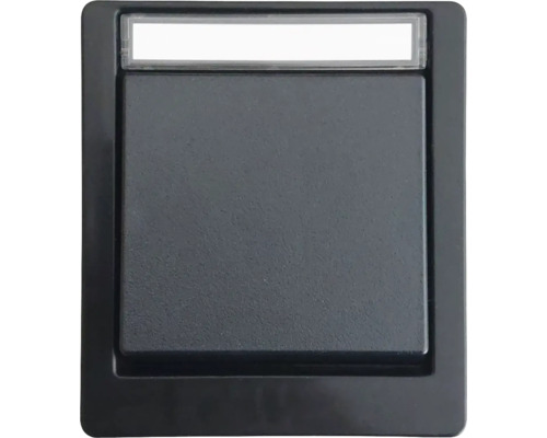Taster Roth Lange ROTH LANGE IP55 schwarz Einbauelement mit Beschriftungsfeld