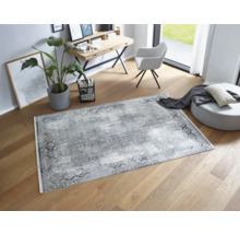 Innenraumszene mit einem gemusterten Teppich, einem Schreibtisch, einem Stuhl und einer Zimmerpflanze auf einem Holzboden