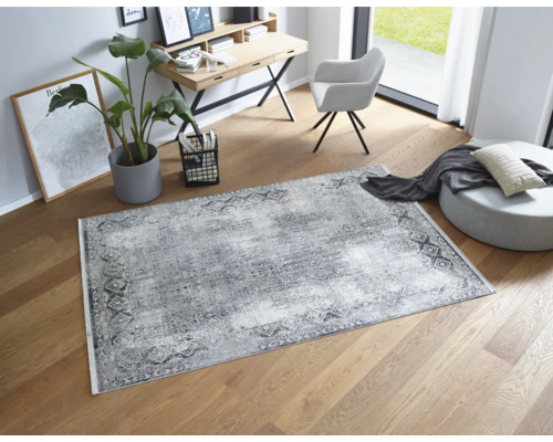 Innenraumszene mit einem gemusterten Teppich, einem Schreibtisch, einem Stuhl und einer Zimmerpflanze auf einem Holzboden