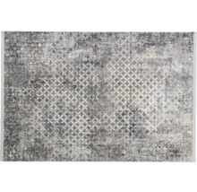 Grauer Teppich mit Kreis-Muster für den Innenbereich