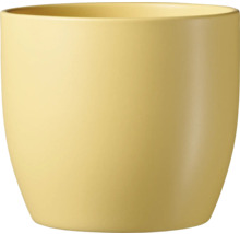 Gelber Pflanztopf