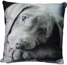 Kissen mit Hunde-Motiv