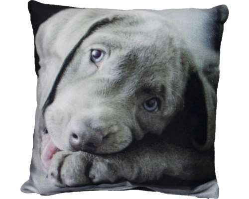 Kissen mit Hunde-Motiv