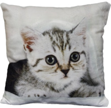 Kissen mit Fotodruck, 1 Katze-thumb-0 Kissen mit Fotodruck, 1 Katze-thumb-0