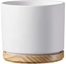 Weißer Blumentopf aus Keramik mit Holzuntersetzer