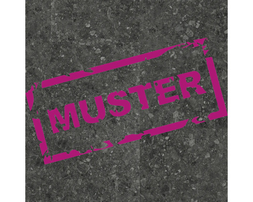 Musteransicht