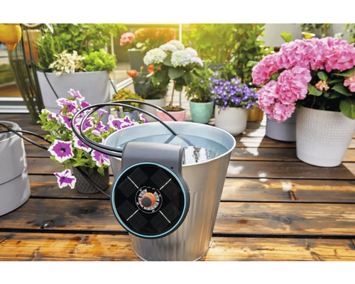 Solar-Bewässerungssystem mit Eimer und verschiedenen Blumen auf dem Balkon
